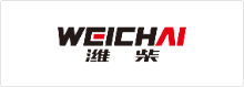淮柴_語(yǔ)言橋翻譯合作案例